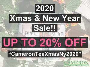 2020 Xmas & New Year Sale!