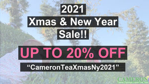 2021 Xmas & New Year Sale!