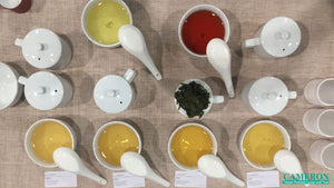 How to brew a good cup of tea?
