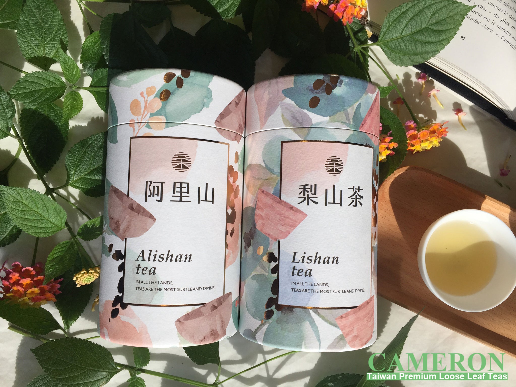 Taiwan AliShan Oolong Tea - High Mountain Oolong | 台灣阿里山